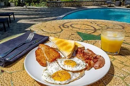 Hospitality Expert Zeppelin - Tour Pool Bar Beach مونتيغو باي